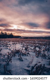 Cloudy Golden Purple Sunset Over Field