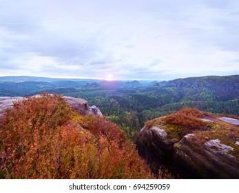 Cloudy hilly landscape. View over dry blooming heather bush into rocky gulch full with deep forest.  Sun hidden in heavy clouds.