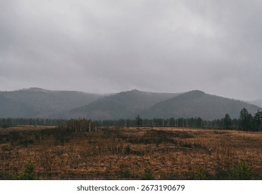 Cloudy landscape with rolling hills and sparse trees during a rainy afternoon in a natural setting