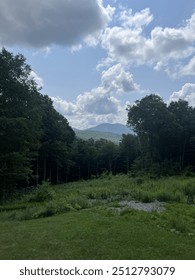 Cloudy Mountain Shot with Trees