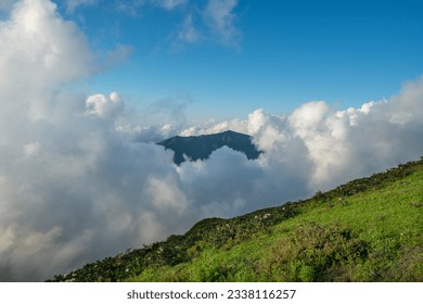 Cloudy mountains.
					Mountains in clouds at sunrise in summer. Aerial view of mountain peak with green trees in fog. Top view of mountain valley in low clouds from drone. Rize Huser plateau, Türkiye