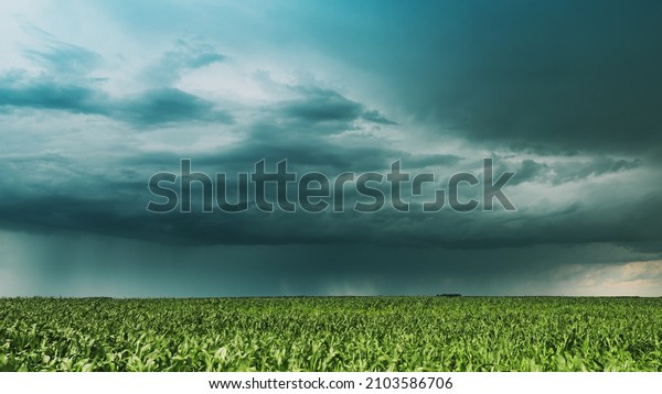 Cloudy Rainy Sky. Dramatic Sky With Dark Clouds\
In Rain Day. Storm And Clouds Above Summer Maize Corn Field. Time\
Lapse, Timelapse, Time-lapse. Hyper lapse 4K. Agricultural And\
Weather Forecast