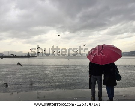 cloudy and rainy weather, two lovers watching the sea and seagulls under the red umbrella