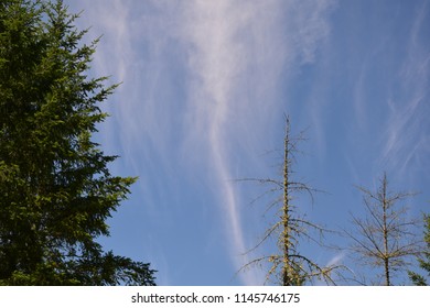 Cloudy Skies: Black Diamond, Washington