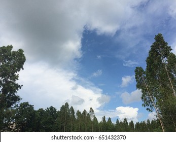 Cloudy sky