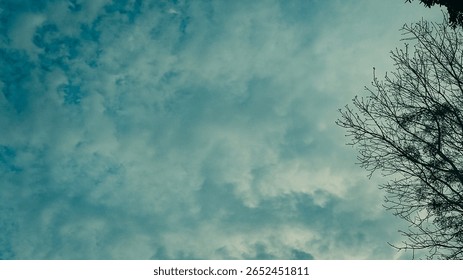 A cloudy sky is the backdrop for a tree's bare branches. The sky is filled with a variety of cloud formations. 