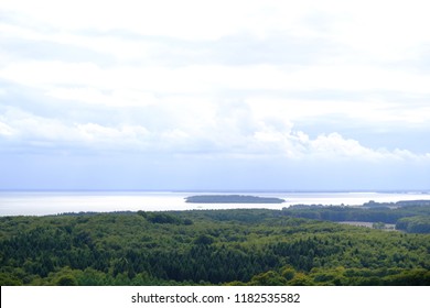 cloudy sky with forest