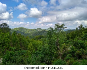 Cloudy sky in a Forest 