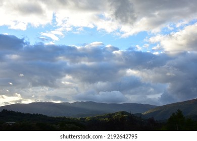 Cloudy Sky In The Forest
