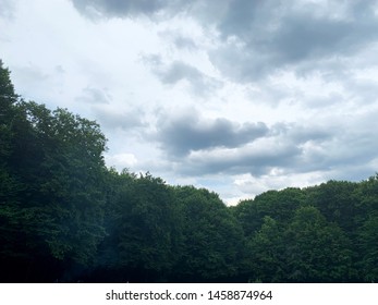 
Cloudy sky in the forest. Background trees.