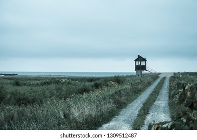 Cloudy sky landscape

