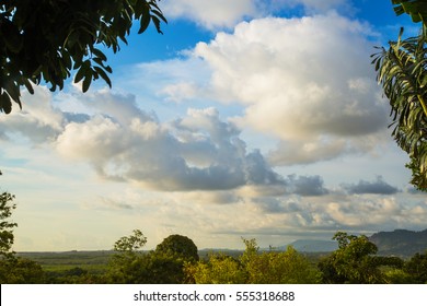 Cloudy sky with leaf frame/Frame with leaves on a background cloudy sky/Frame of fresh green and the sun and blue sky/Leaf frame/ Leaf frame and sun beam light/