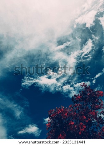cloudy sky with red leaves for lockscreen and wallpaper 