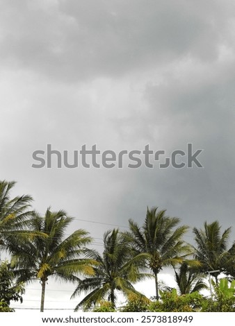 Cloudy sky

rows of coconut trees under a cloudy sky.
even though the sky is so cloudy, the coconuts still stand upright, ready to be hit by wind or storm.

#cloudysky