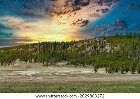 the cloudy sky with sparse forest and grassy field at sunrise