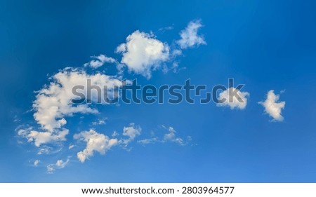 Cloudy sky in summer with bright turquoise evening beautiful wispy cirrus clouds cloud on blue background. Isolated with copy space around. Detailed steam white texture.