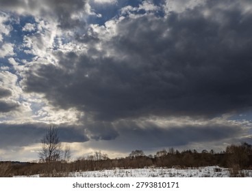 Cloudy sky with a tree in the foreground. The sky is overcast and the tree is bare