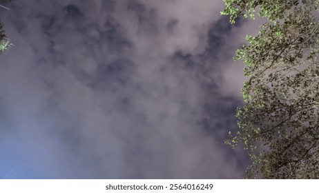 Cloudy sky with trees around