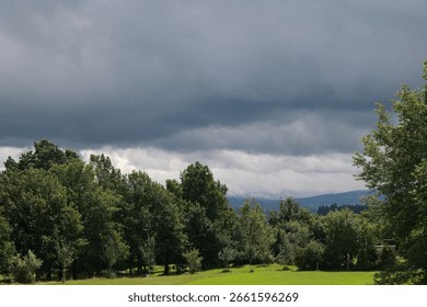 Cloudy sky with trees in the background