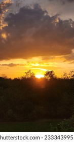 cloudy and sunset behide the treep