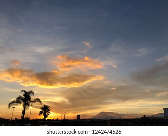 Cloudy Sunset with palm trees.