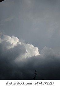 Cloudy with that bird ? 
