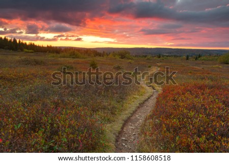 Cloudy twilight scene & winding trail from the Dolly Sods Wilderness near Davis, West Virginia (USA).
