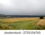 A Cloudy View Of Fields