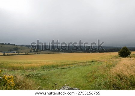 A Cloudy View Of Fields