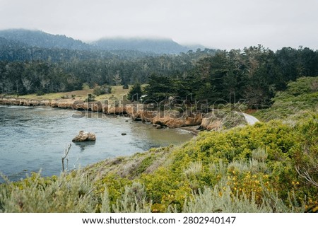 Cloudy view of the Pacific Coast from Point Lobos State Natural Reserve, in Carmel, California.