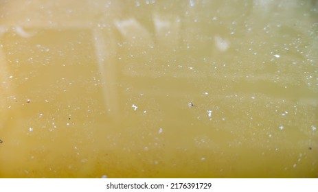 The Cloudy Water In The Pool That Hasn't Been Cleaned For A Long Time