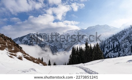 Cloudy weather. Mountain snow peaks in the clouds. Misty Mountains