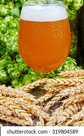 Cloudy Wheat Beer In Glass