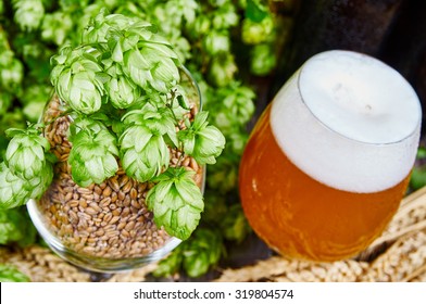 Cloudy Wheat Beer And Ingredients In Glasses