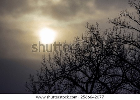 Cloudy Winter Day with the Sun in the Clouds and a Silhouette of a Tree