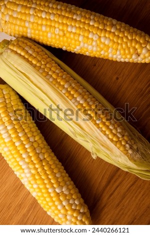 Clous up view of cutting board with three ears of ripe sweet corn on vintage white wooden background. Cobs with white and yellow grains.
