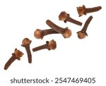 Clove buds in air on white background. Aromatic spice