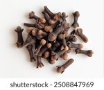 clove isolated on white background