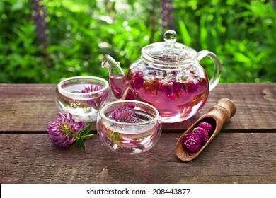 clover flower tea in the glass cups and teapot on a wooden table 