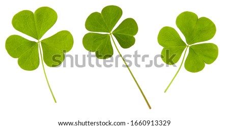 Clover green leaf set isolated on white background