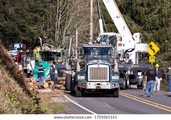 Cloverdale, Oregon, USA - April 10th, 2020:\
Incident response machinery remove woods from the highway and load\
fallen logs back onto the\
truck
