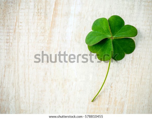 Clovers leaves on\
shabby wooden background. The symbolic of Four Leaf Clover the\
first is for faith, the second is for hope, the third is for love,\
and the fourth is for\
luck.