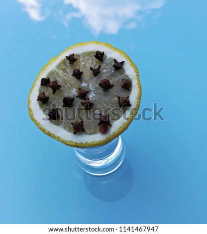 cloves and lemons as mosquito repellent
 Stock foto © 
