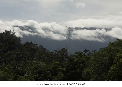 Clowdy View Morning Leuser Ecosystem Forest Stock Photo 1761119270 ...