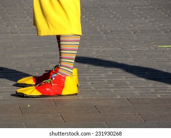 The Clown Shoes