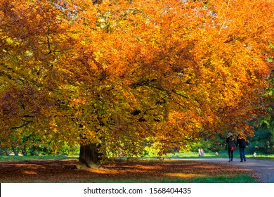 242 Clumber park Images, Stock Photos & Vectors | Shutterstock