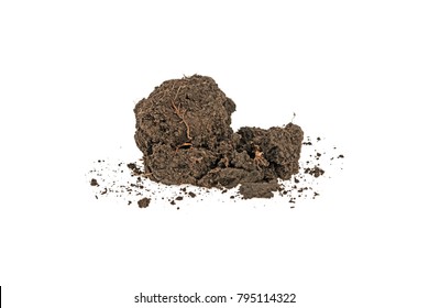 clump of earth on white background - Shutterstock ID 795114322