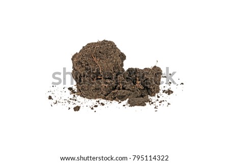 clump of earth on white background
