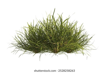 clump of green grass isolated on a white background. Isolated lawn on white background. Bunch of green grass isolated on white background. side view of clump of grass for design and advertising. - Powered by Shutterstock