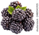 A cluster of blackberries with a shiny surface and deep black color, isolated on a white background.